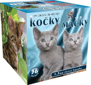Obrázek z Pexeso BOX kočky 